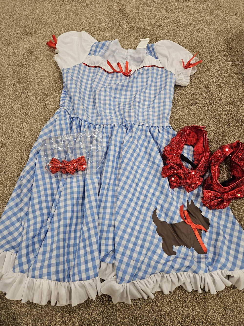 Kids Blue Gingham Dorothy-Style Costume Dress with Red Accessories